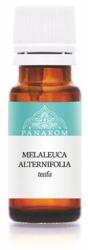 Panarom Illóolaj, bio, 10 ml, PANAROM, teafa (EMP017) - primatinta