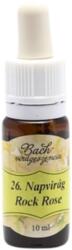 Bach Bach virágterápia, 10 ml - Molyhos napvirág, a kitörés virága - 26-os