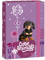 Ars Una Füzetbox A/4 Cute Animals Puppy 5369