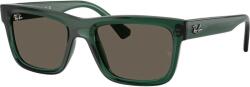 Ray-Ban RJ9196S 7189/3