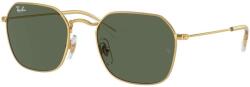 Ray-Ban RJ9594S 223/71
