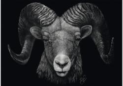 Schmidt Spiele 58540 - Dominance - Aries, In the Sign of Fire, Ashley Rader - 1000 db-os puzzle (58540)