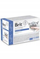 Brit VD Cat Pouch filé szaftban 12x85g