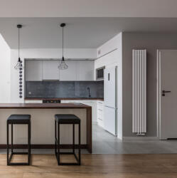 REGNIS LUXAR, radiátor 290x1400mm, 50mm-es központi csatlakozóval, 590W, matt fehér (RAL 9003), LUXAR140/29/D50/FEHÉR (LUXAR140/29/D50/WHITE)