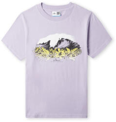 O'Neill Sefa Graphic T-shirt (3850028-14513)