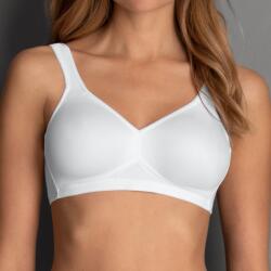 Rosa Faia Twin 5493 (4009706242444)