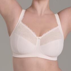 Rosa Faia Eloise 5296 (4058509696985)