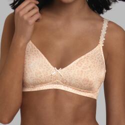 Rosa Faia Joy 5263 (4058509502835)