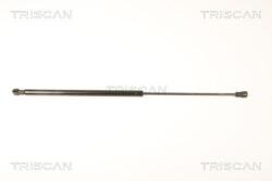 TRISCAN Amortizor, luneta TRISCAN 8710 25253 (8710 25253) - automobilus