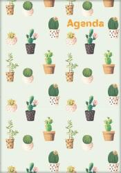Dayliner Naptár, tervező, A5, heti, DAYLINER, Colors, Cactus (NCA5HCA25) - irodasziget