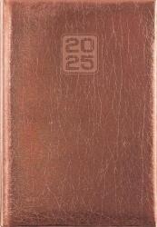 Dayliner Naptár, tervező, A5, heti, DAYLINER, Mirror, bronz (NMHBR25) - irodasziget