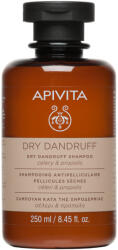 APIVITA Dry Dandruff sampon de par împotriva mătreții & uscăciunii 250 ml