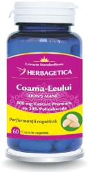Herbagetica Coama Leului, 60 capsule vegetale, Herbagetica
