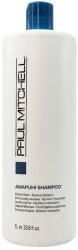 Paul Mitchell Awapuhi Shampoo 1000 ml