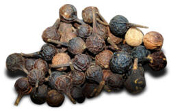NANGA Cubeba Pepper - Piper cubeba - 50g egész
