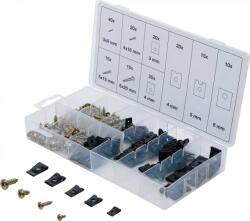 BGS technic Set de holsuruburi si cleme metalice, 170 piese (BGS 8114) (8114)