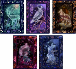 Top2000 Füzet A/5 60 Lapos Vonalas Fairy Tail Story Vegyes Minta (H400182441)