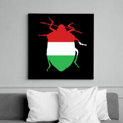 printfashion Magyar poloska - Vászonkép - Fekete (17374335)