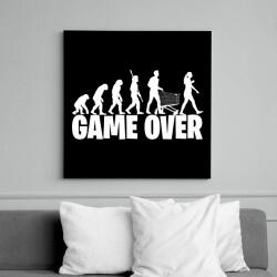 printfashion Game over evolúció fehér - Vászonkép - Fekete (17471955)