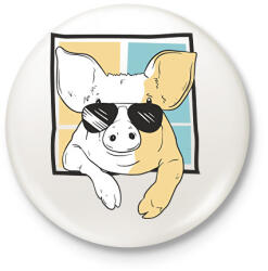 printfashion Napszemüveges malac - Kitűző, hűtőmágnes - Fehér (17123596)