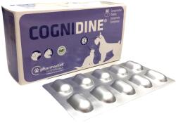 OPKO Cognidine idegrendszer támogató tabletta 60 db