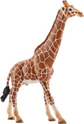 Schleich zsiráfbika figura