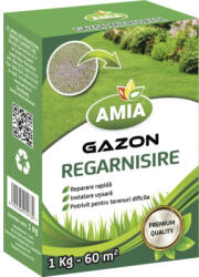 AMIA Semințe gazon regarnisire Amia 1 kg 60 m2 (AMGRG1)