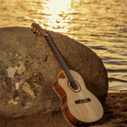 Ortega Guitars RCE138-T4-L elektro-klasszikus gitár