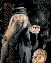 Zuty Festés számok szerint Dumbledore és a horcrux poszter (Harry Potter) (M10-040-050-606291)