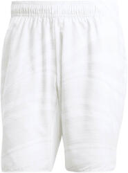 adidas Pantali scurți pentru bărbați Club Graphic Short White/Grey L