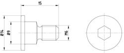 TEXTAR Surub, disc frana TEXTAR TPM0001 (TPM0001) - fixbox