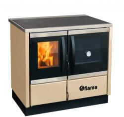 Fiama Thermo Rocky 16 kW