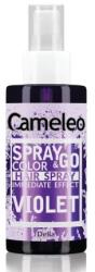 Delia Cosmetics Spray colorant pentru par nuanta Violet Spray & Go, 150ml, Delia Cosmetics