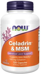 NOW Now - Celadrin & Msm ízületerősítő 500 Mg - 120 Kapszula