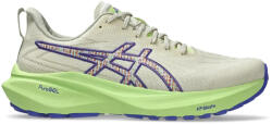 ASICS GT-2000 13 TR férfi futócipő 46 (1011C042-300-11H)