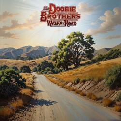 WARNER The Doobie Brothers - Walk This Road (1lp) (0603497818433)