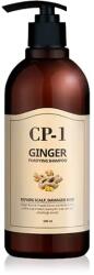 Esthetic House (CP-1) Șampon cu extract de ghimbir, Esthetic House CP-1 Ginger Purifying Shampoo, 500ml