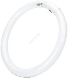 Aigostar Флуоресцентна тръба T9 G10q/32W/230V 6500K - Aigostar (AI1930)