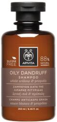 APIVITA Oily Dandruff hajsampon, Korpásodás ellen, 250 ml