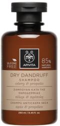 APIVITA Dry Dandruff sampon, Korpásodás elleni, Zellerrel és propolissal, 250 ml