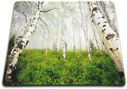 Media-Tech egérpad, természet/állatok, 21×18cm (MT253)