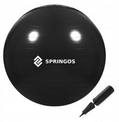 Springos Gimnasztikai Fitnesz Labda Pilates Terhes Rehabilitáció 55 cm (FB0013)