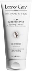 Leonor Greyl SOIN REPIGMENTANT ICY BROWN 200 ml (3450870020429) (3450870020429)