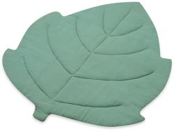 New Baby Leaf (53875)