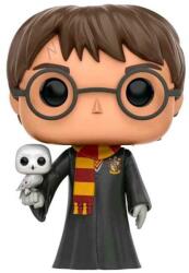 Funko Harry Potter - Harry Hedwiggel (Exc) figura (FU11915-PX-1K1) (FU11915-PX-1K1)