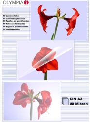 Olympia 80 mikron A3 lamináló fólia ( 25 db / csomag) (9180) (9180)