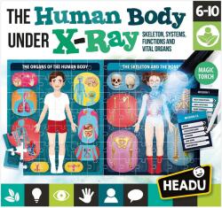 Headu Headu: Az emberi test röntgen alatt logikai puzzle (EN22762) (EN22762)