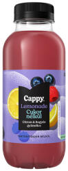 Cappy Lem. Citrom-Bogyós gyüm. ZERO 0, 4l 12/# DRS