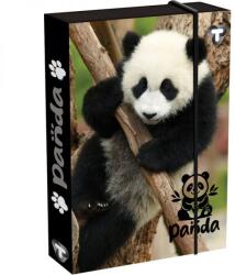 T-Creativ Pandás füzetbox - A4 - T-Creatív (TC25-D030040A4-904329-1PANDA)