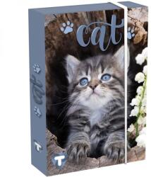 T-Creativ Cicás füzetbox - A5 - T-Creatív (TC25-D030040A5-904312-8CICA)